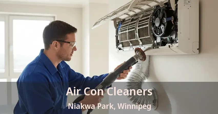 Air Con Cleaners Niakwa Park, Winnipeg - MB
