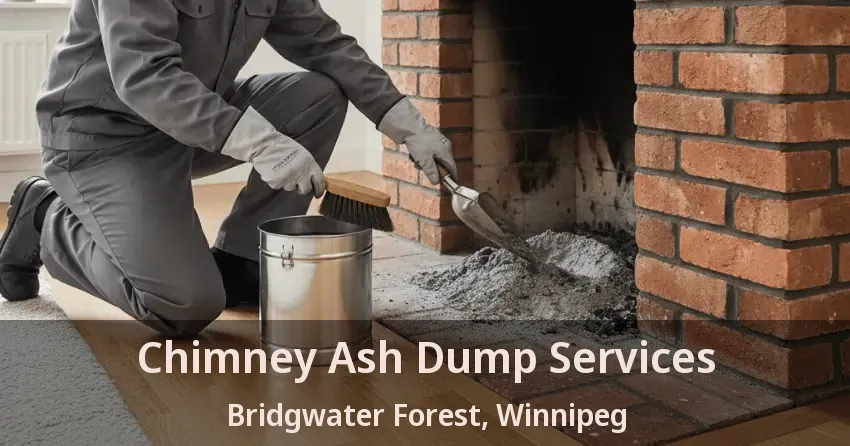 Chimney Ash Dump Services Bridgwater Forest, Winnipeg - MB