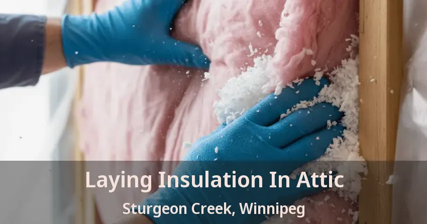 Laying Insulation In Attic Sturgeon Creek, Winnipeg - MB