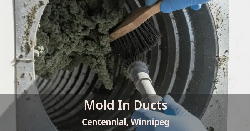 Mold In Ducts Centennial, Winnipeg - MB Mold In Ducts Centennial, Winnipeg - MB