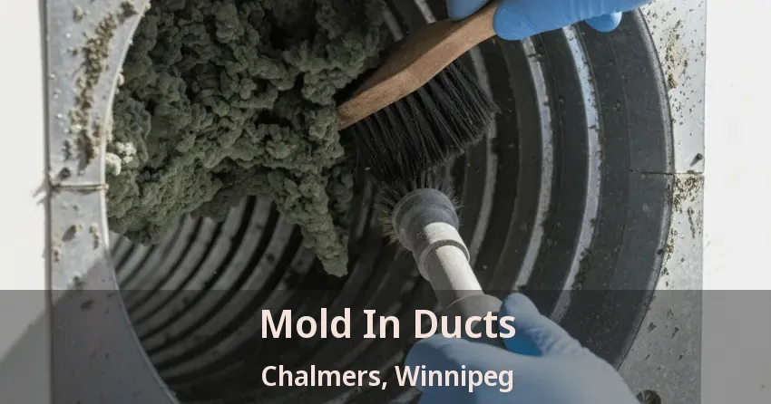 Mold In Ducts Chalmers, Winnipeg - MB Mold In Ducts Chalmers, Winnipeg - MB